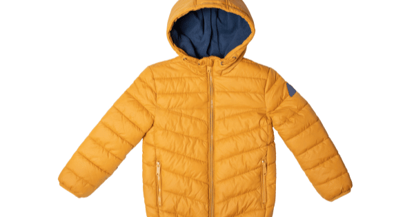 Parkas vs. Down Jackets: Which Is Better for Extreme Cold in Electronic City?